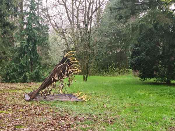 2024 hornfall site 1