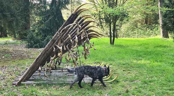 2024 hornfall site 3